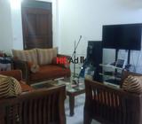 furnished new apartment for rent