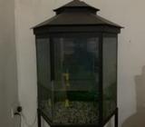 Aquarium
