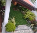 House New Two Story for Sale - Piliyandala