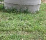 Concrete Well Ring