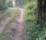 Land for Sale in kurunegala