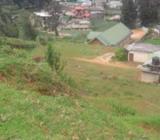 Land for Sale In Nuwara Eliya