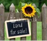 Land for Sale Dehiwala