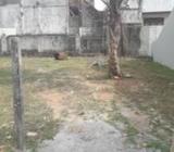 Super Land for Sale Kotte