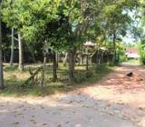 Land for Sale in Kadawatha