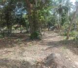 Land for Sale Negombo