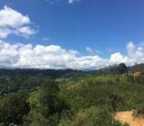 Lands For Sale in Bandarawela