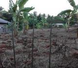 Land for sale - Kurunegala