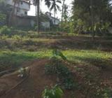 Land for Sale in Delgoda