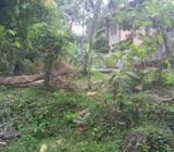 Land for Sale in Ganemulla