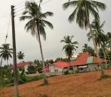 Land for sale Naththandiya