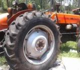 Tafe 45DI Tractor