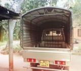 Unimo Lokka Gold 2012