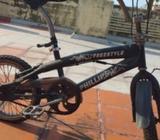 Phillips Freestyle Children's Bicycle