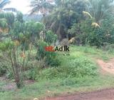 land for sale in horana