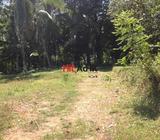 land for sale | in gampaha