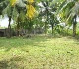 Land for sale in Divlapitiya