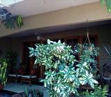 2 Houses for Sale in Bolawalana