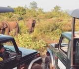 Yala Safari Tours Sri Lanka