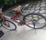 Kenton dolphin bicycle 2017