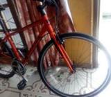 Giant Escape 3 2018/2019 Bicycle