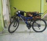 DSI Bike