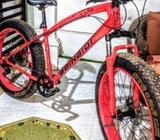 Fat Tyre Bicycle