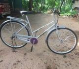Ladies Bicycle