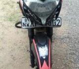 Bajaj Pulsar 135 2013