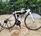 Racing Cyclical