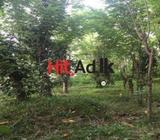 land for sale | in matale