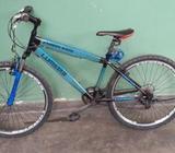 Lumstar Bicycle