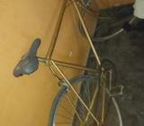 Ten Speed Bicycle