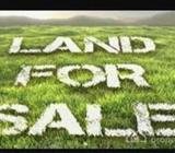 Land for Sale - Kotte