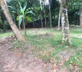 Land for Sale - Negombo