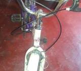 NGC bicycle