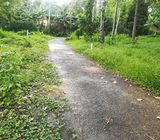 15 P. Flat land for rent– Imbulmalgama, Pilimathalwa.