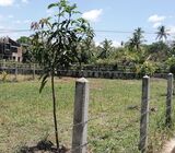 Land for immediate sale in Kurunegala