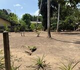 24 Perches of Land for Sale in Udugampola, Gampaha.