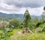 Valuable 10-Acre Land for Sale in Galaha, Kandy.