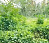 33 Perches Land for Sale in Unawatuna, Thalpe, Mihiripanna Area