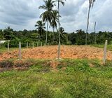 26 Perches Land for sale in Kahatana, Henegama.