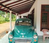 Morris minor for sale