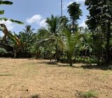 30 Perches of Land for sale in Nittambuwa.