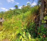 160 Perches Scenic Land for Sale in Kananke, Matara.