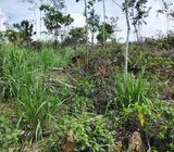 160 Perches Scenic Land for Sale in Kananke, Matara.