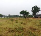 Agricultural Land Kurunegala Mahawa Ambanpola Daladagama