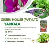 Plant Nursery Gampaha