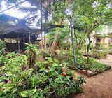 Highly Residential Cum Commercial Land for Sale at Gampaha City