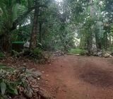 Valuable 40 Perches Land for Sale in Malwana, Biyagama.